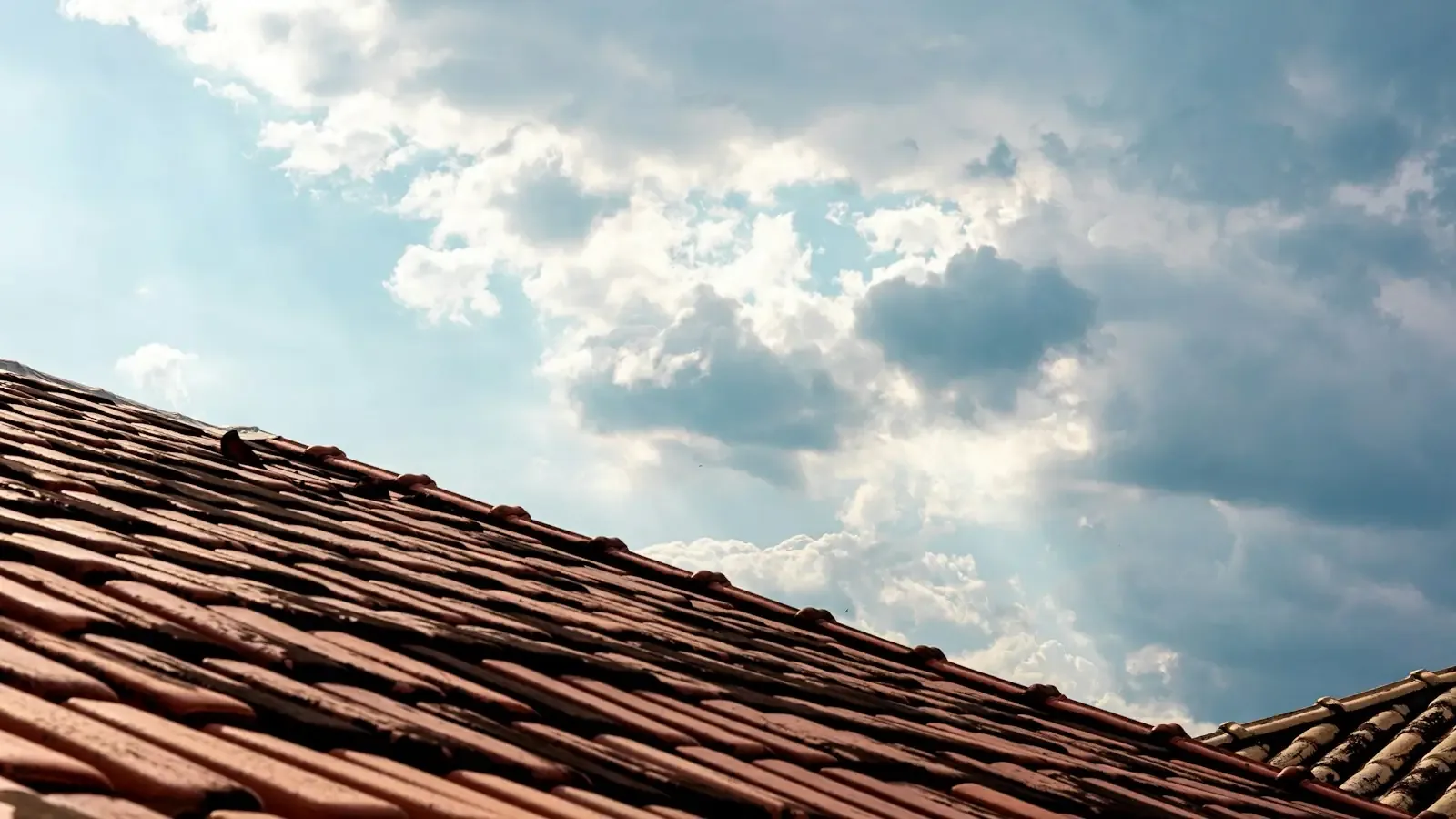 Metal Roofing